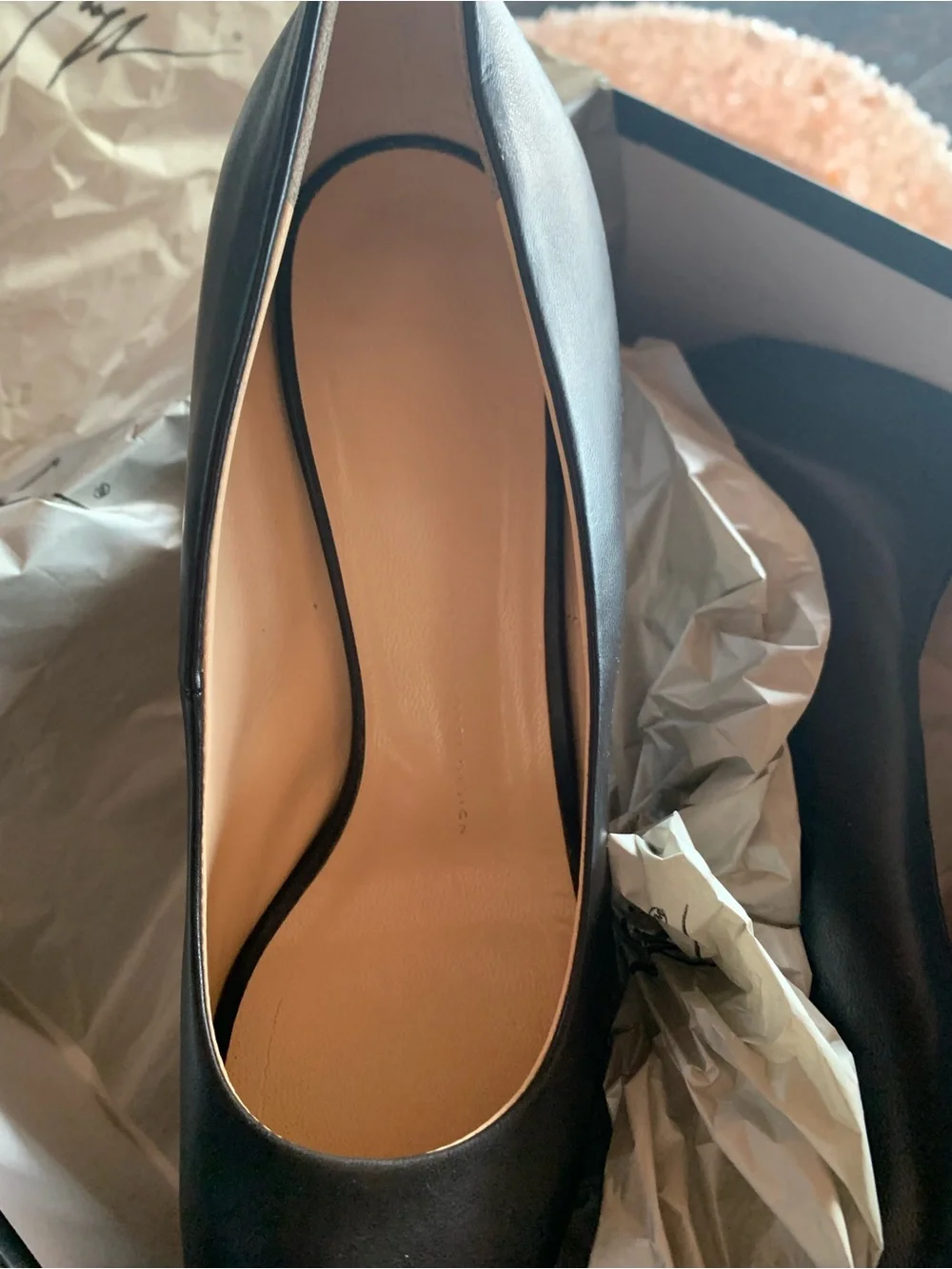 Giuseppe Zanotti classic pointed